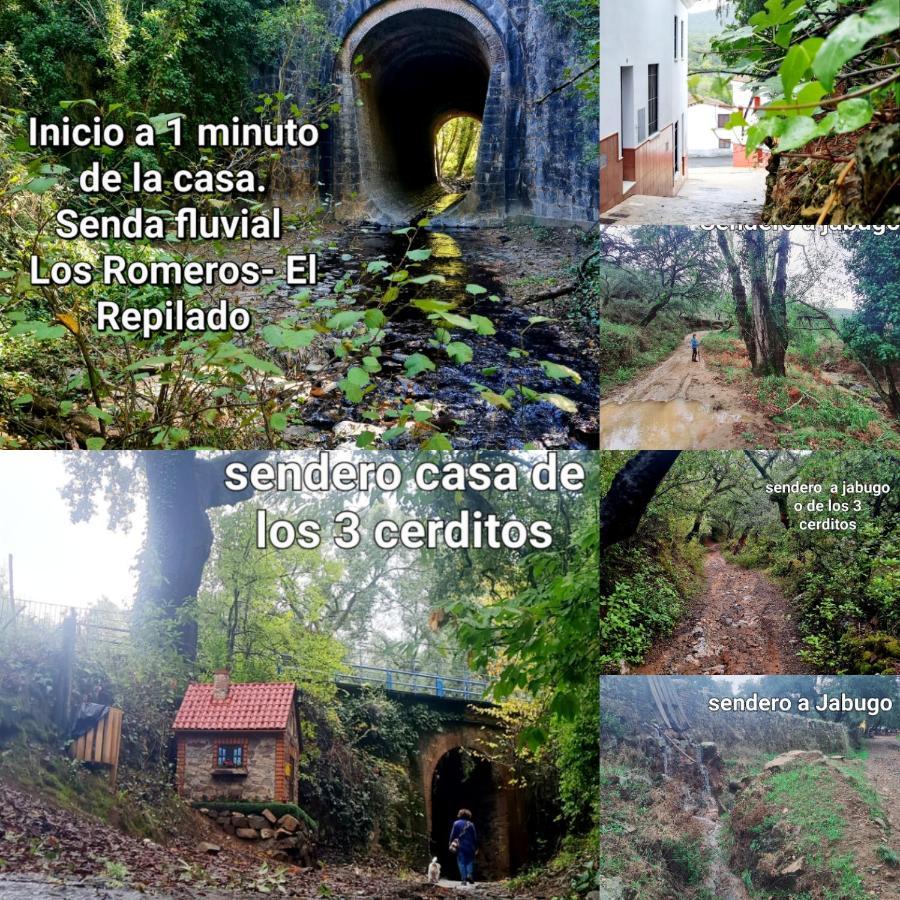 Вілла La Casa Junto Al Sendero Del Rio & Piscina # Aire Acondicionado Los Romeros Екстер'єр фото